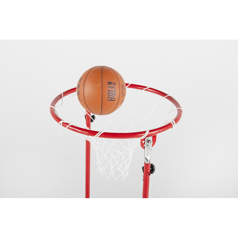 贈呈 スポーツプラザエバニュー バスケットボール設備 備品 送料別途 セストボールゴール 固定式 EKU057